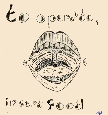 ToOperateInsertFood_0.jpg